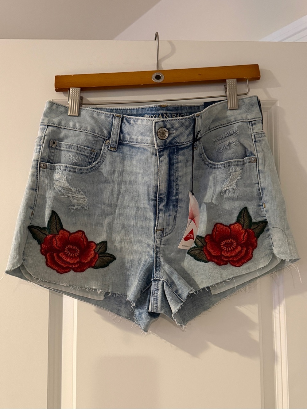 American Eagle Outfitters Light Blue Denim Shorts with Red Rose Patches